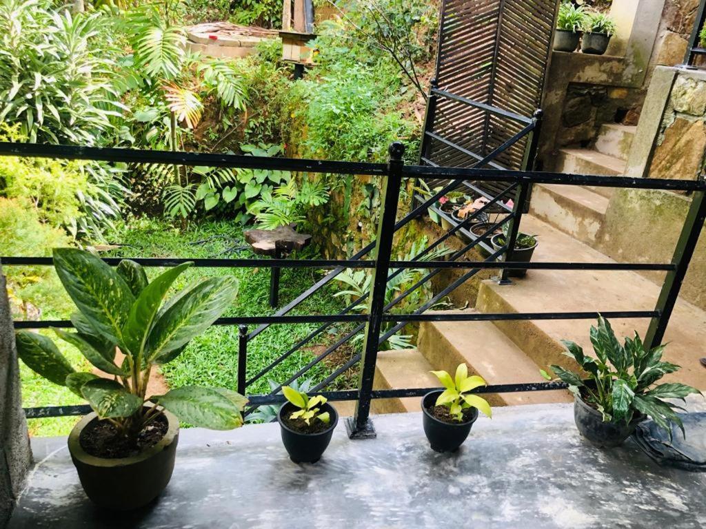 Sky Garden Ella Apartment Екстериор снимка