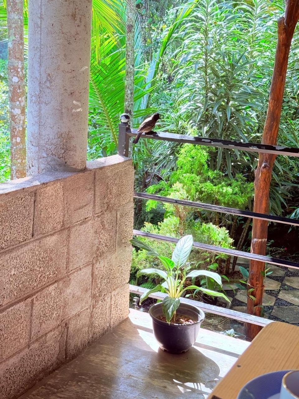 Sky Garden Ella Apartment Екстериор снимка
